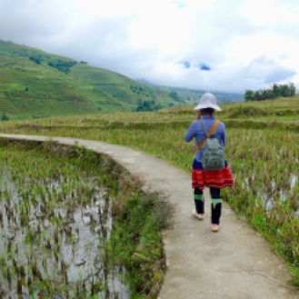 Hiking through rice fields